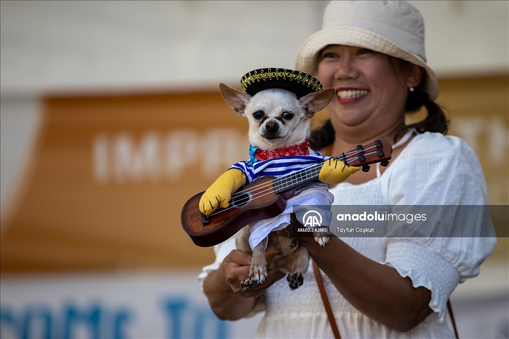 California'da köpek kostümü yarışması düzenlendi