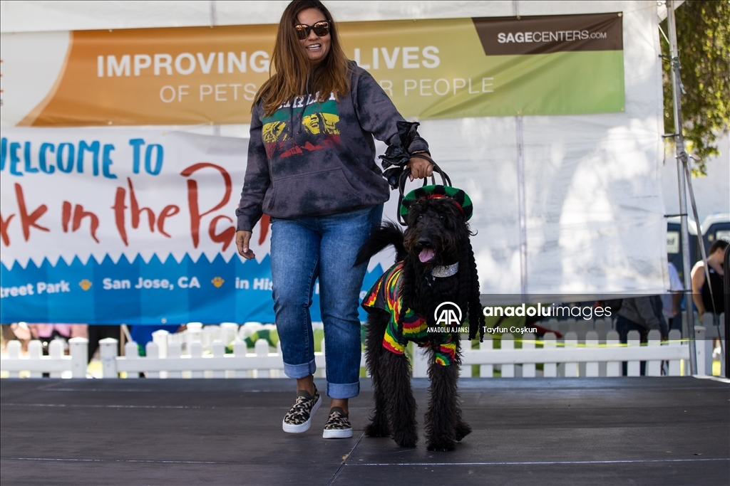 California'da köpek kostümü yarışması düzenlendi