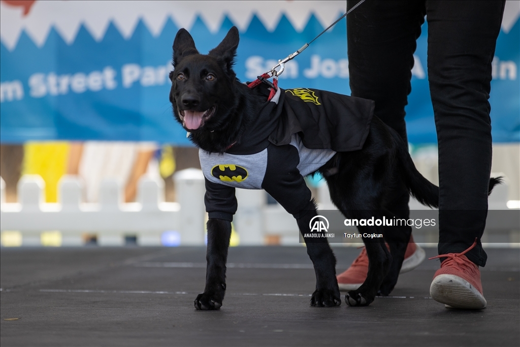 California'da köpek kostümü yarışması düzenlendi