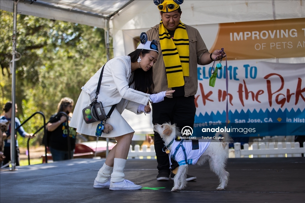 California'da köpek kostümü yarışması düzenlendi