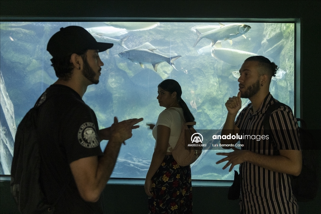 Kolombiya'nın Medellin kentindeki bilim müzesi Explora Park