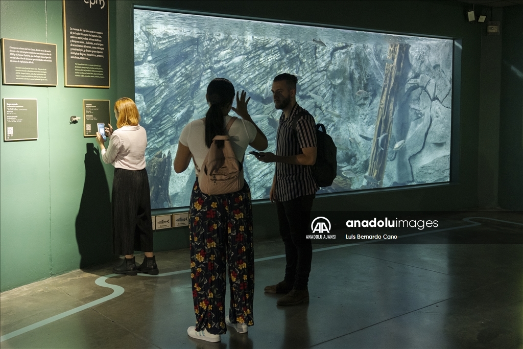 Kolombiya'nın Medellin kentindeki bilim müzesi Explora Park