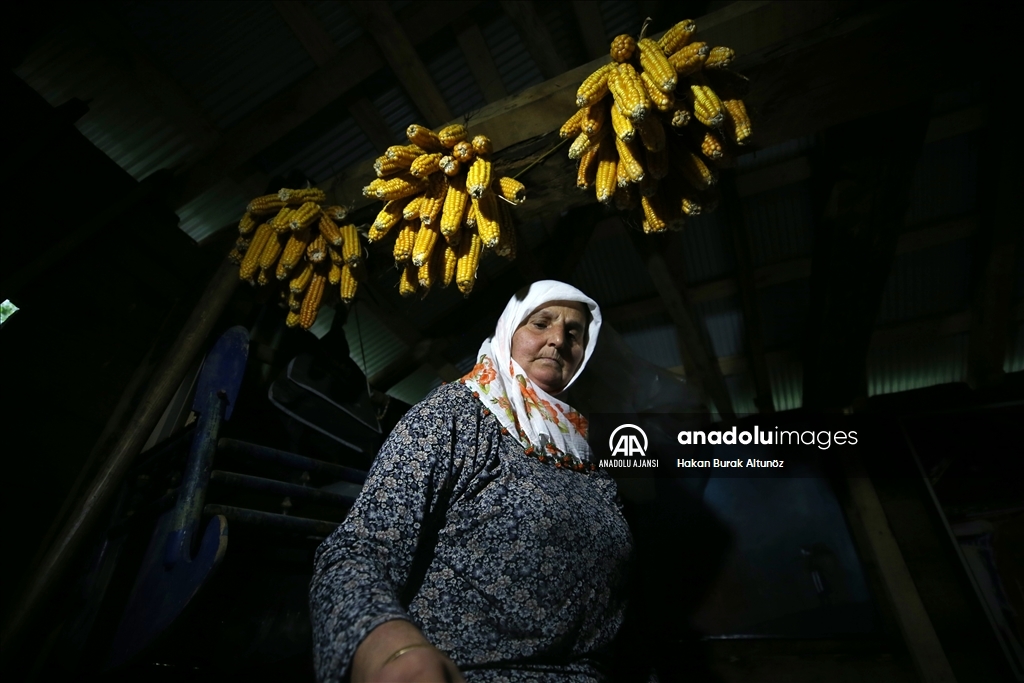 Karadeniz kadınının tarladan sofraya "mısır unu" mesaisi