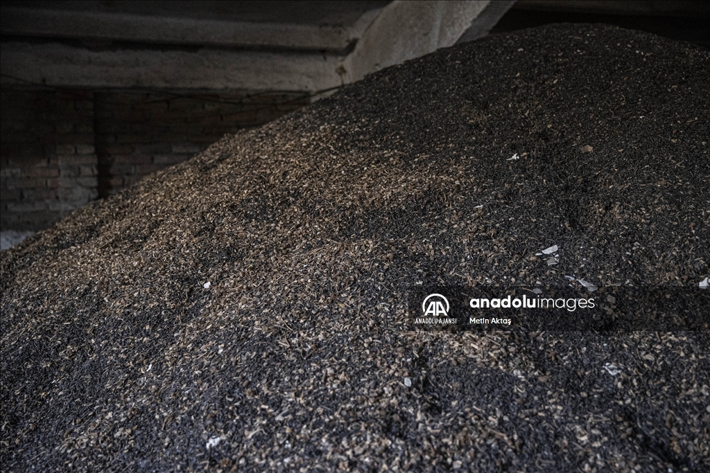  Ukrayna'nın kontrolüne geçen Nova Husarivka köyü savaşın izlerini taşıyor