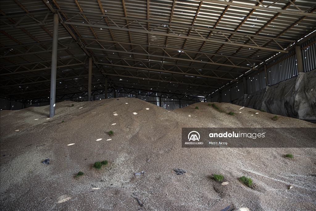  Ukrayna'nın kontrolüne geçen Nova Husarivka köyü savaşın izlerini taşıyor