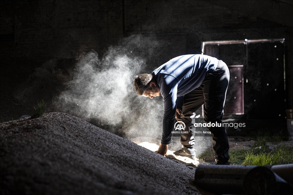  Ukrayna'nın kontrolüne geçen Nova Husarivka köyü savaşın izlerini taşıyor