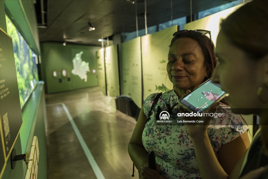 Acuario para ciegos y sordos en Colombia