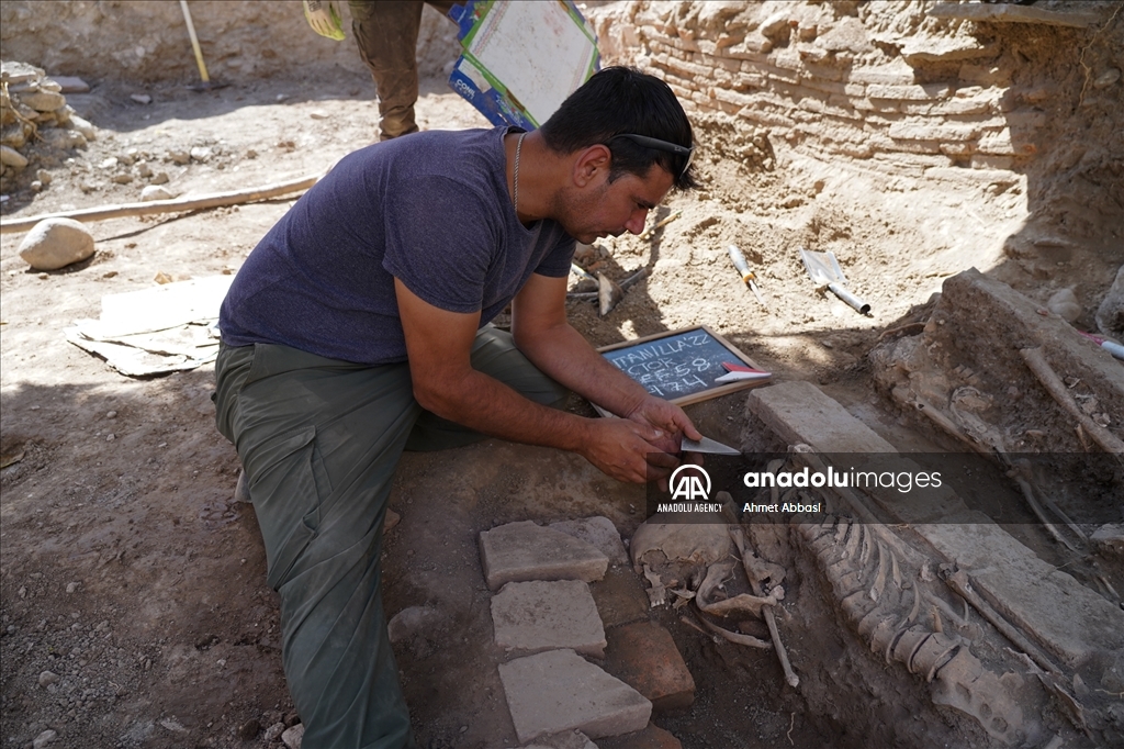 Archaeologists unearthed a large number of human remains at an excavation site in Granada, southern Spain