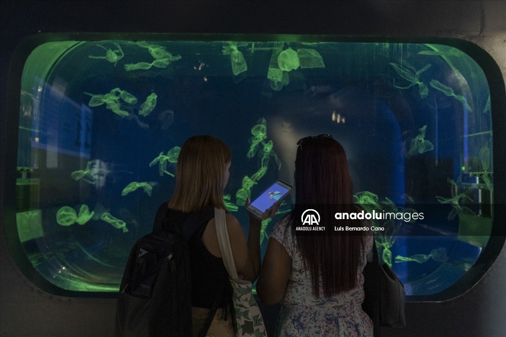 Acuario para ciegos y sordos en Colombia