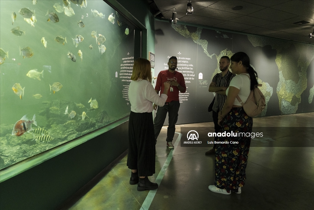 Acuario para ciegos y sordos en Colombia