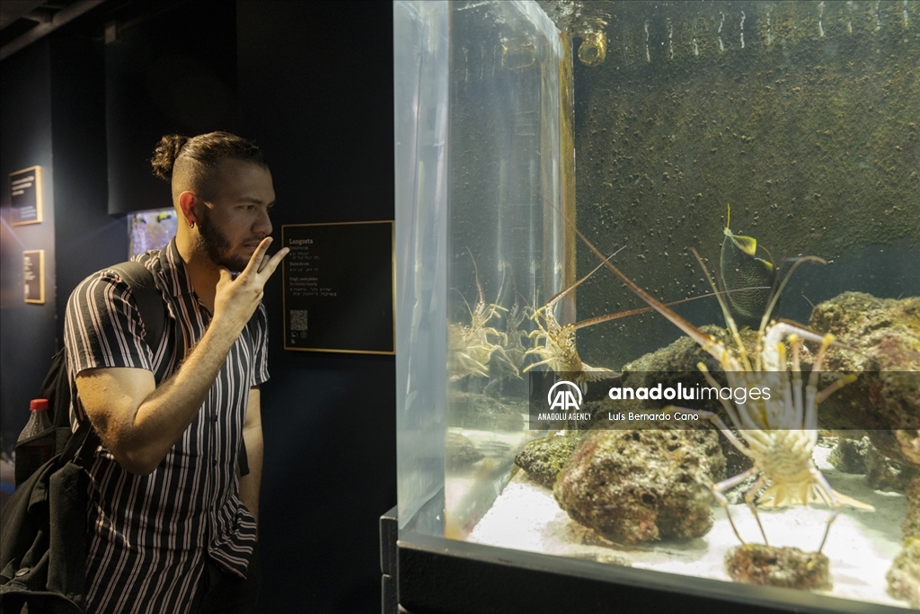 Acuario para ciegos y sordos en Colombia