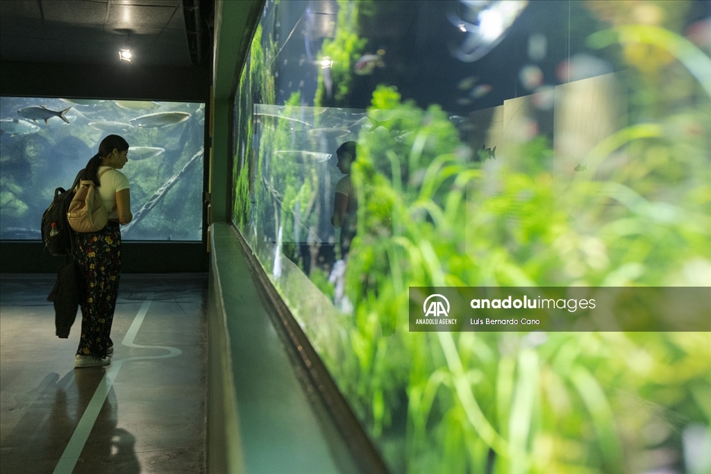 Acuario para ciegos y sordos en Colombia