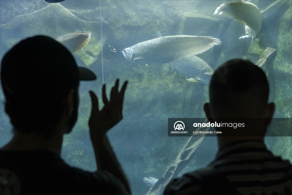 Acuario para ciegos y sordos en Colombia