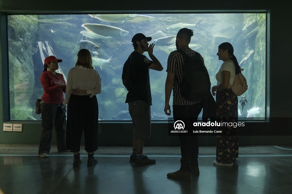 Acuario para ciegos y sordos en Colombia