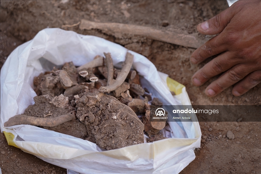 Archaeologists unearthed a large number of human remains at an excavation site in Granada, southern Spain