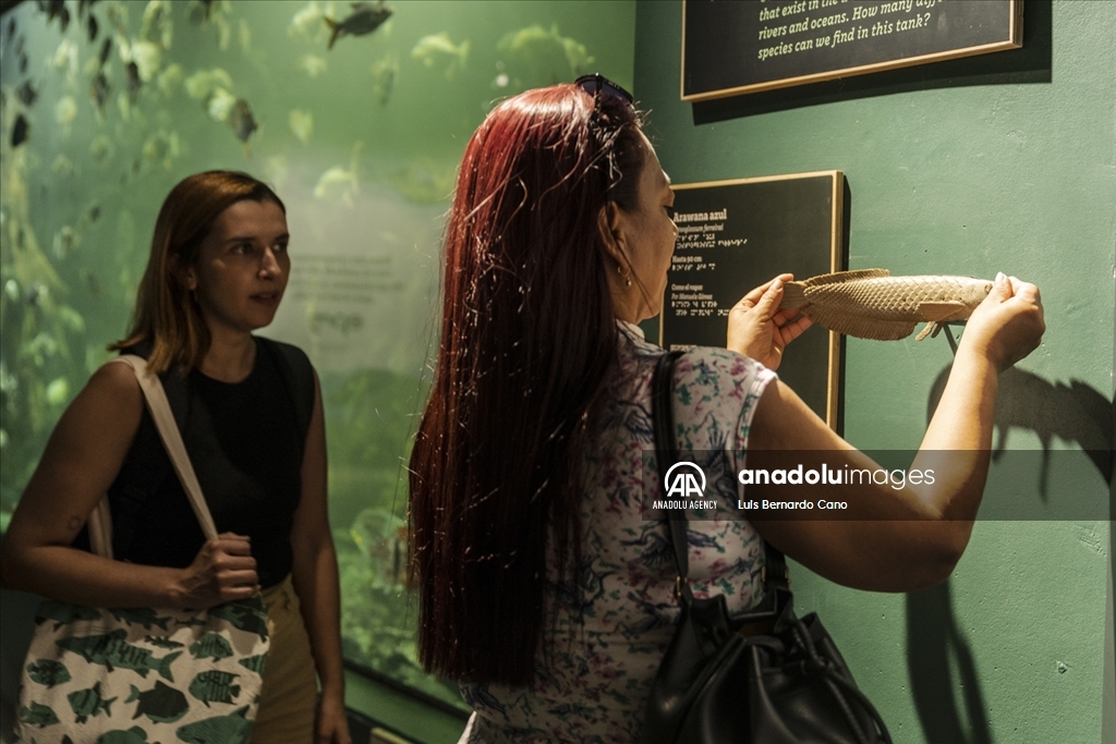 Acuario para ciegos y sordos en Colombia