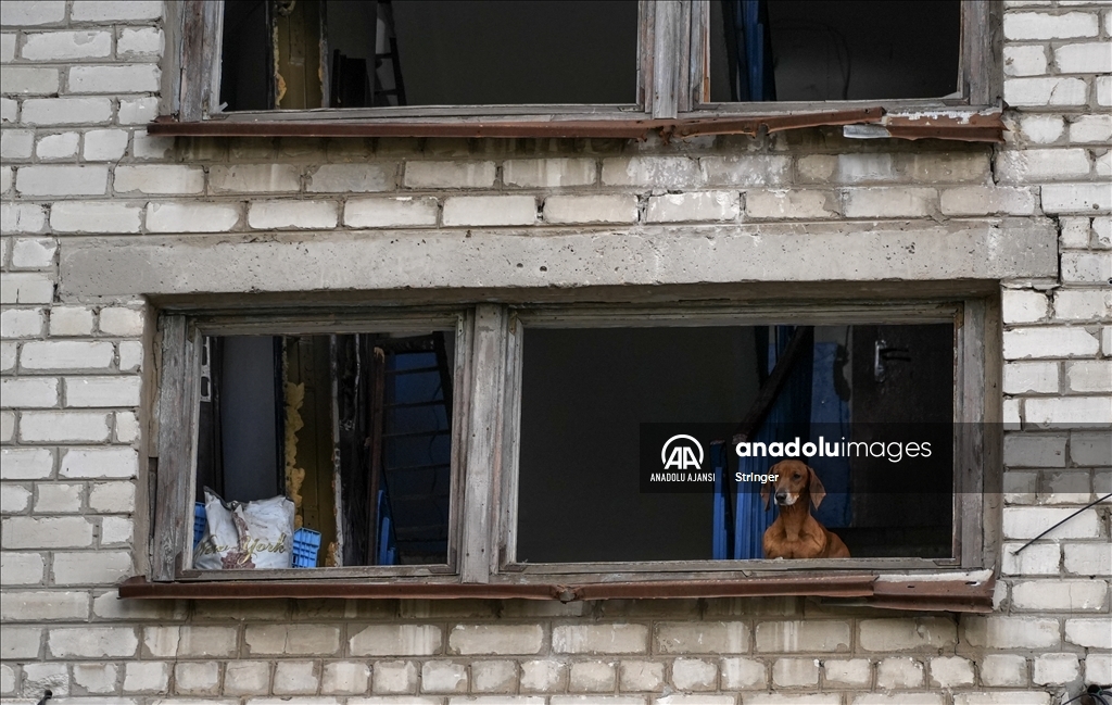 Ukrayna’daki ayrılıkçı yönetimler Rusya’ya katılmak için referandum düzenliyor