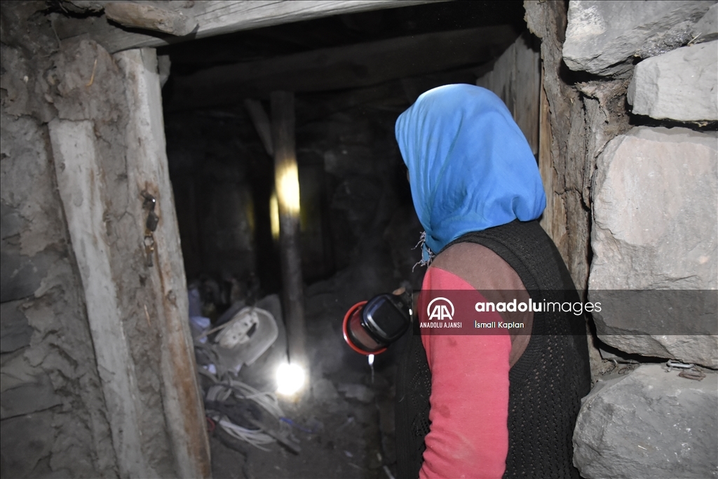 Ardahan'daki depremde taş yapılı iki evin duvarları yıkıldı, 1 kişi yaralandı