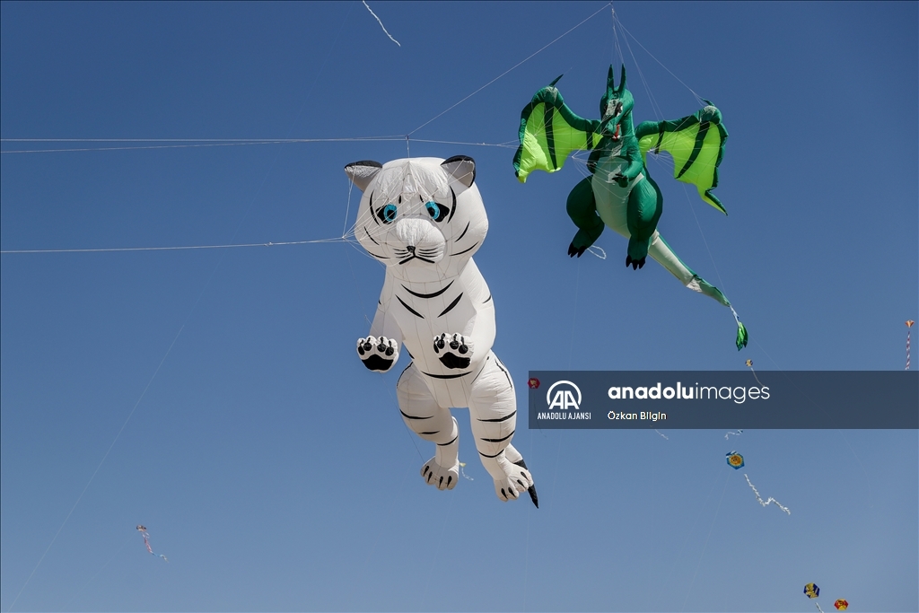 Çocukların uçurduğu uçurtmalar Van'ın semalarını renklendirdi