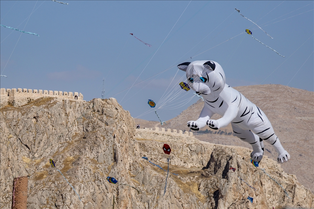 Çocukların uçurduğu uçurtmalar Van'ın semalarını renklendirdi