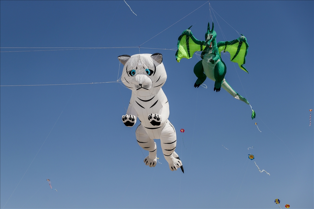 Çocukların uçurduğu uçurtmalar Van'ın semalarını renklendirdi