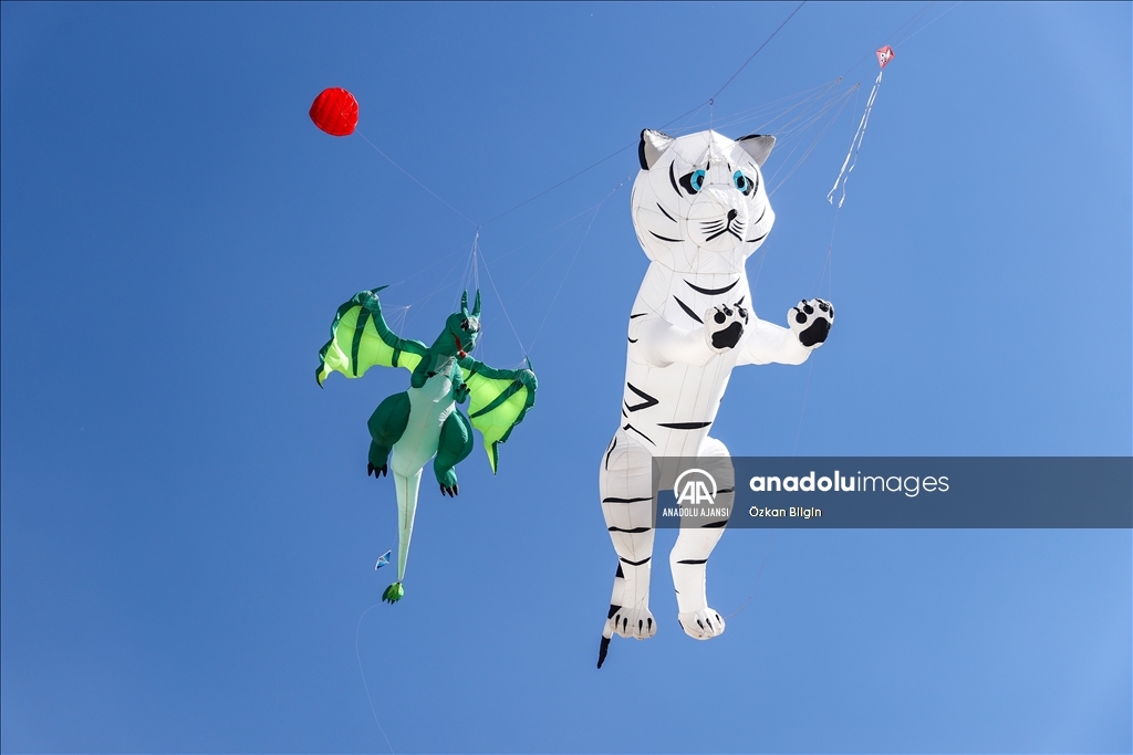 Çocukların uçurduğu uçurtmalar Van'ın semalarını renklendirdi