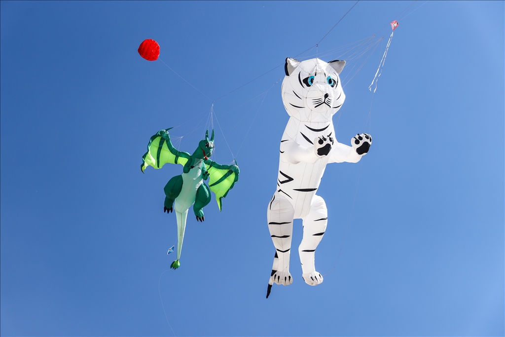 Çocukların uçurduğu uçurtmalar Van'ın semalarını renklendirdi