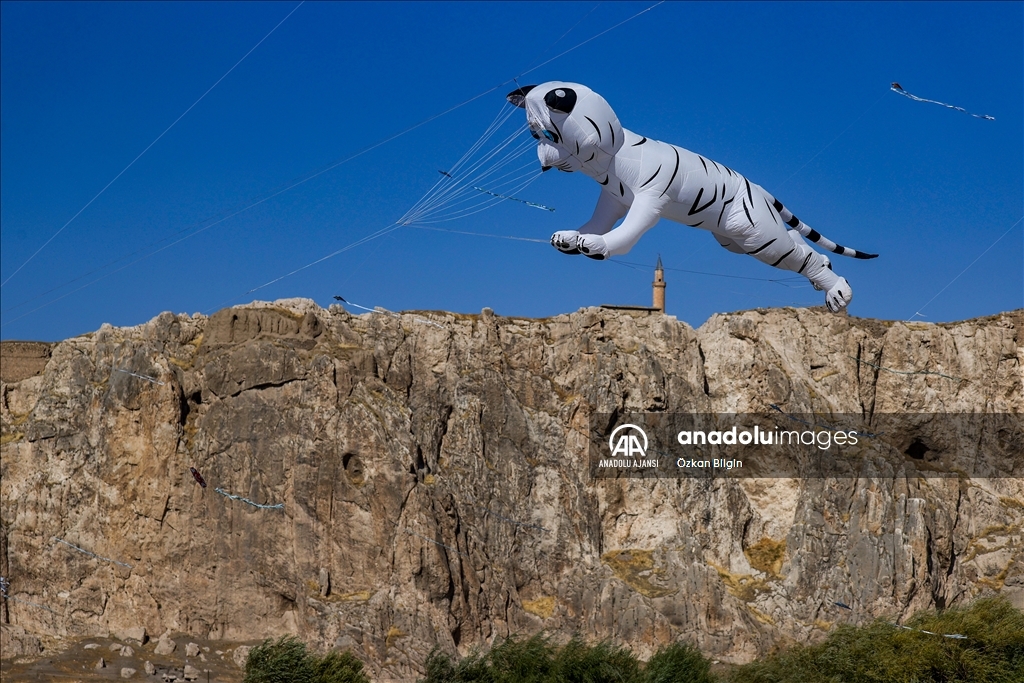 Çocukların uçurduğu uçurtmalar Van'ın semalarını renklendirdi