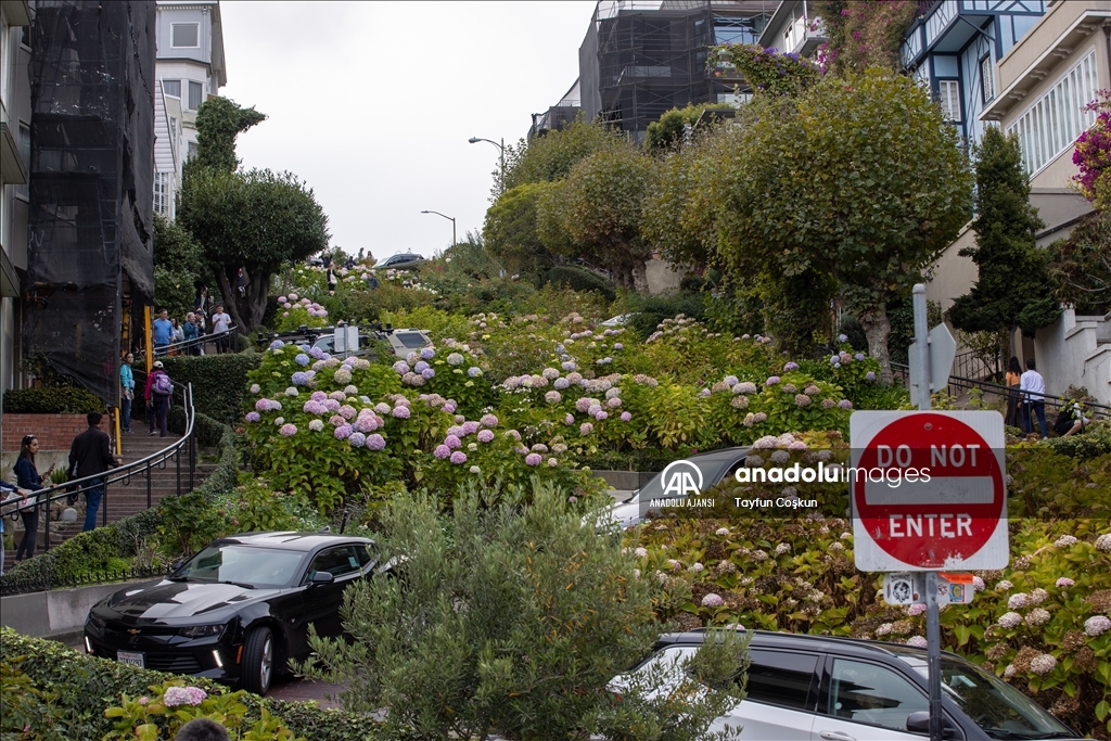 Köprüler ve yokuşlar şehri San Francisco