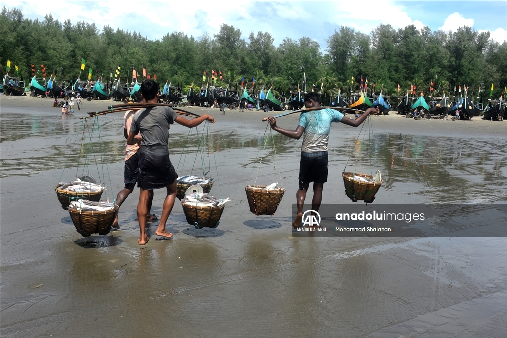 Bangladeşli balıkçıların bereketli avı