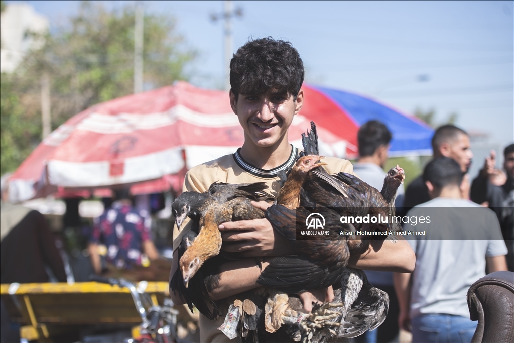 Irak'taki kuş meraklılarının adresi: "Erbil kuş pazarı"