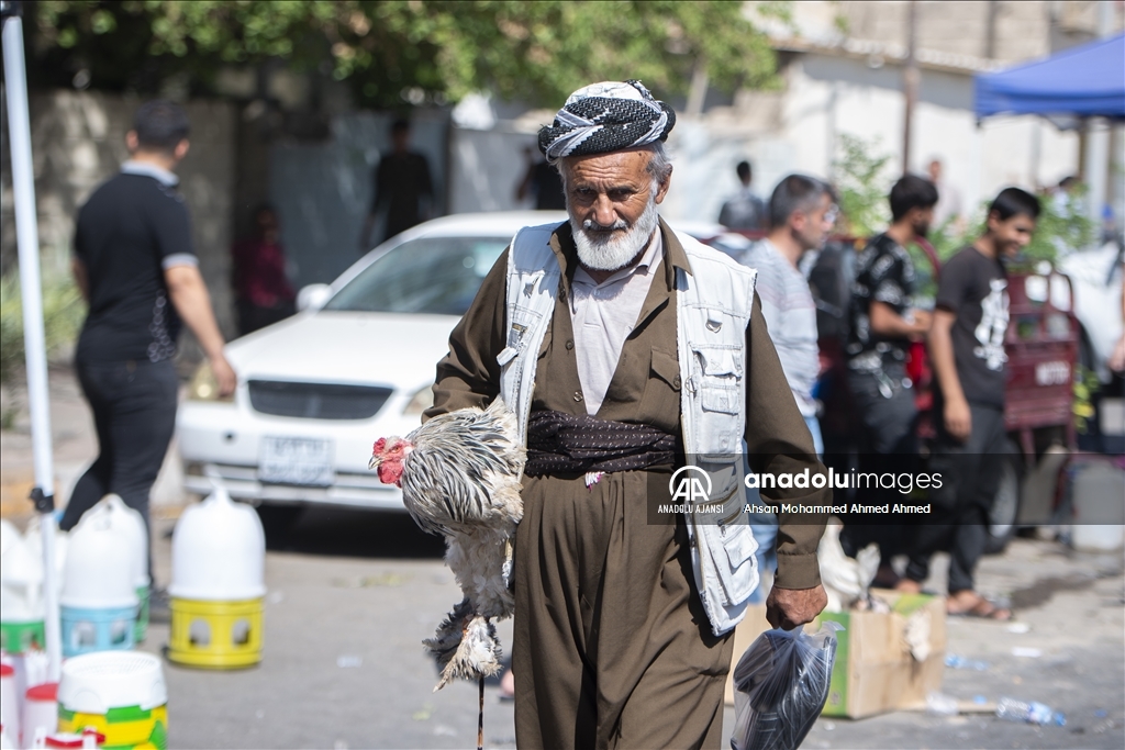Irak'taki kuş meraklılarının adresi: "Erbil kuş pazarı"