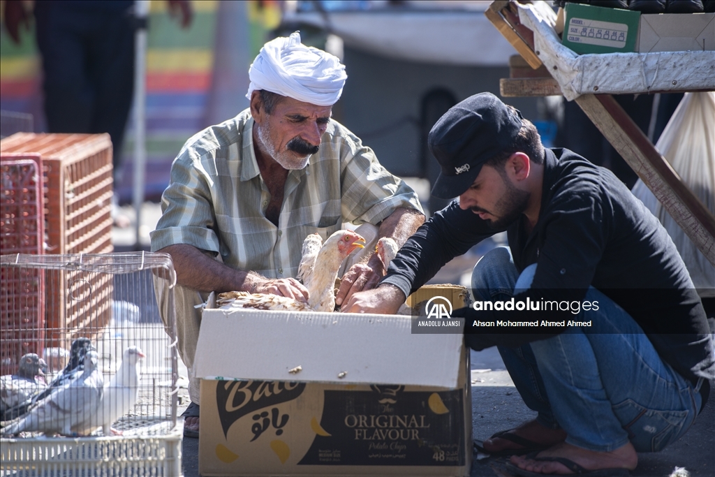 Irak'taki kuş meraklılarının adresi: "Erbil kuş pazarı"