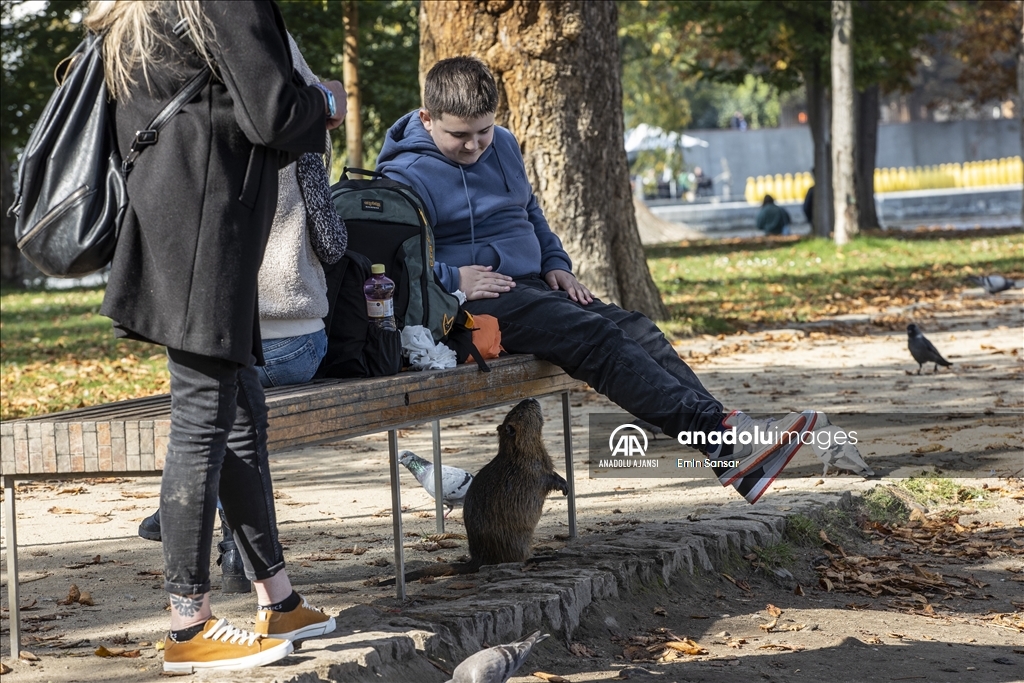 "Avrupa'nın Kalbi" Prag zamanı durduruyor
