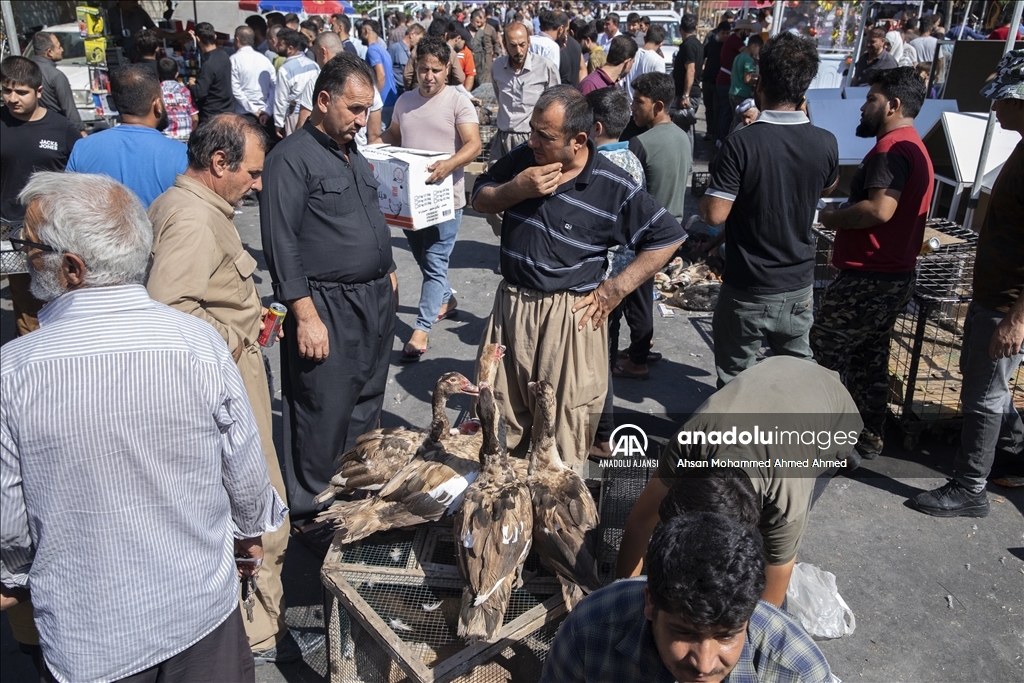 Irak'taki kuş meraklılarının adresi: "Erbil kuş pazarı"