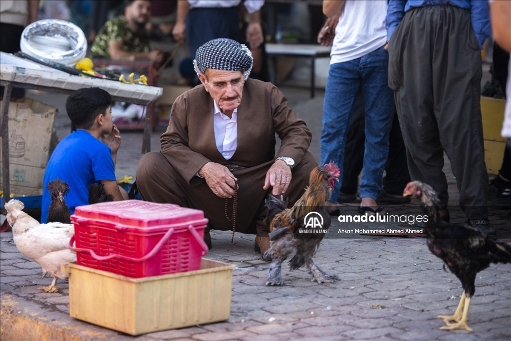 Irak'taki kuş meraklılarının adresi: "Erbil kuş pazarı"