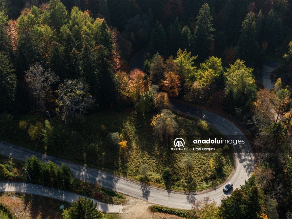 Golden Autumn in Poland