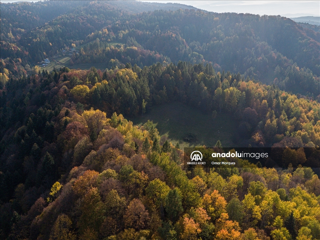 Golden Autumn in Poland