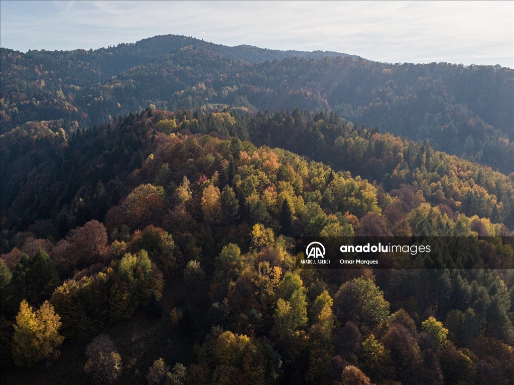 Golden Autumn in Poland