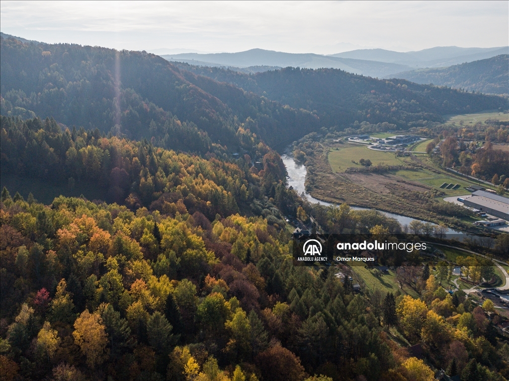 Golden Autumn in Poland