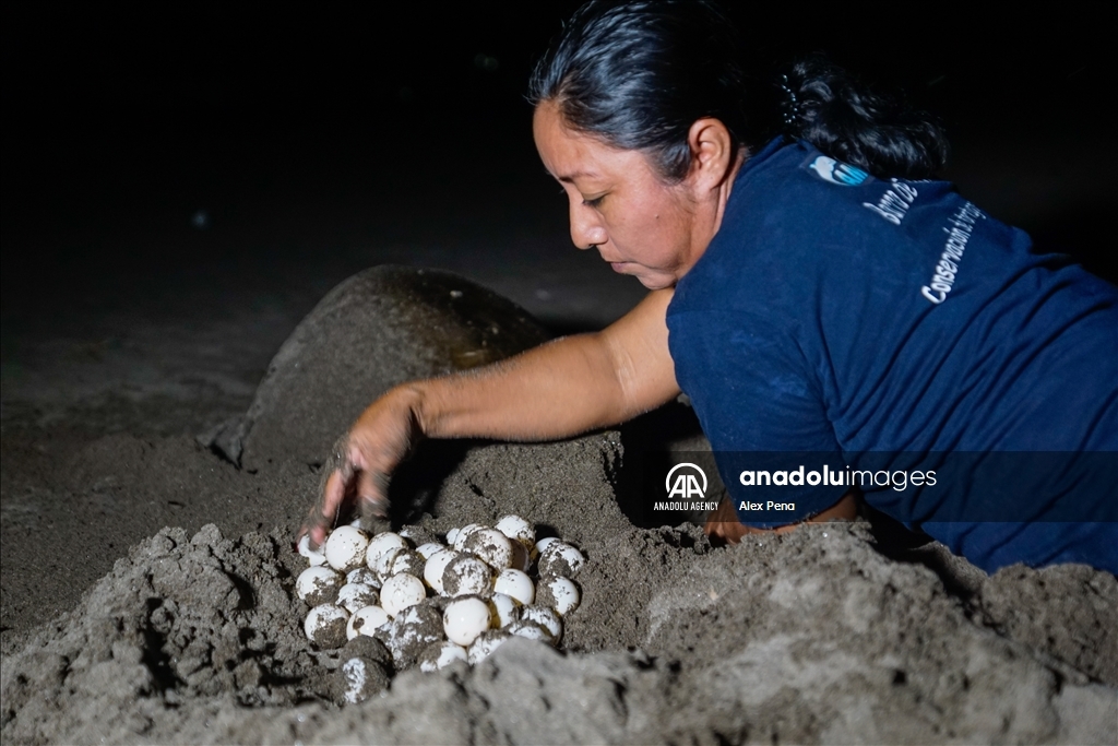 Conservation of sea turtle reproduction in El Salvador