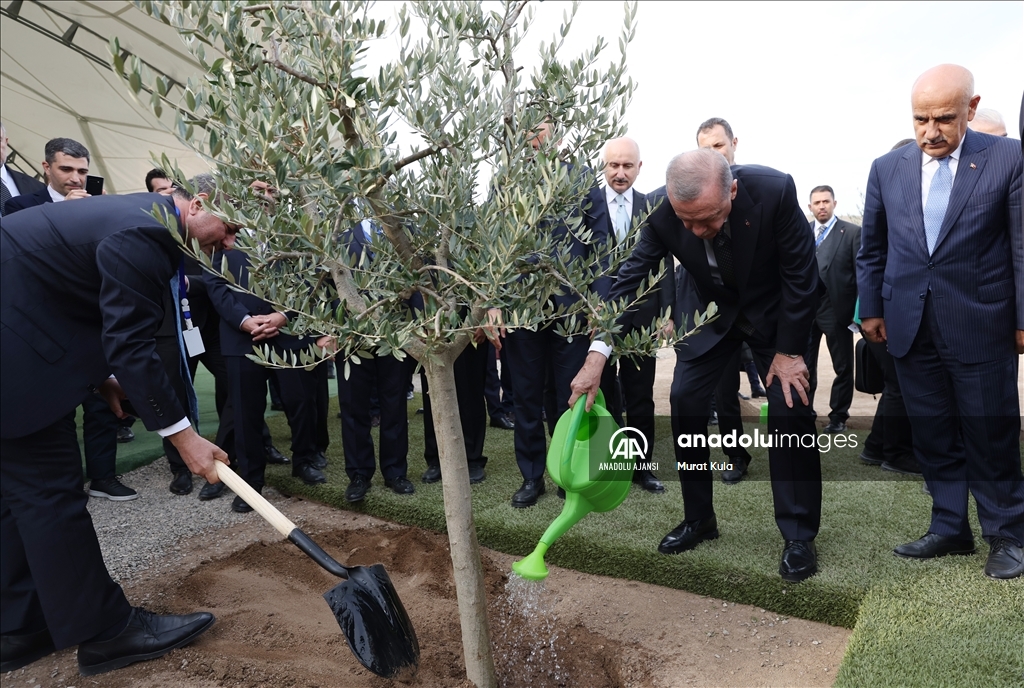 Cumhurbaşkanı Erdoğan-Azerbaycan Cumhurbaşkanı Aliyev