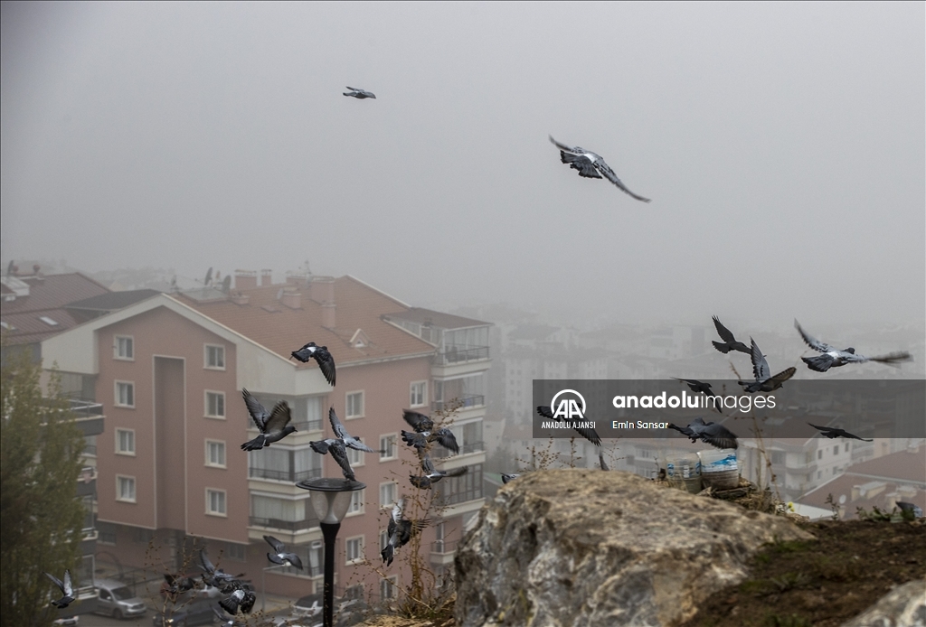 Ankara'da sabah