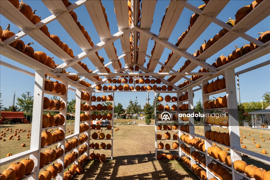 Pumpkin Garden in Italy