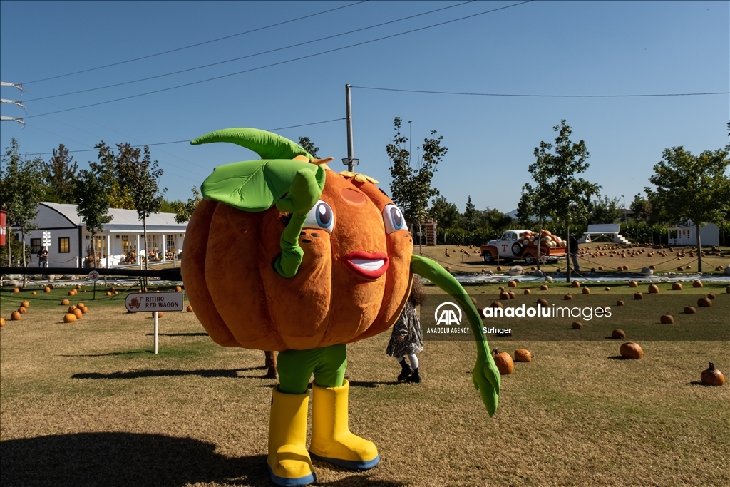 Pumpkin Garden in Italy