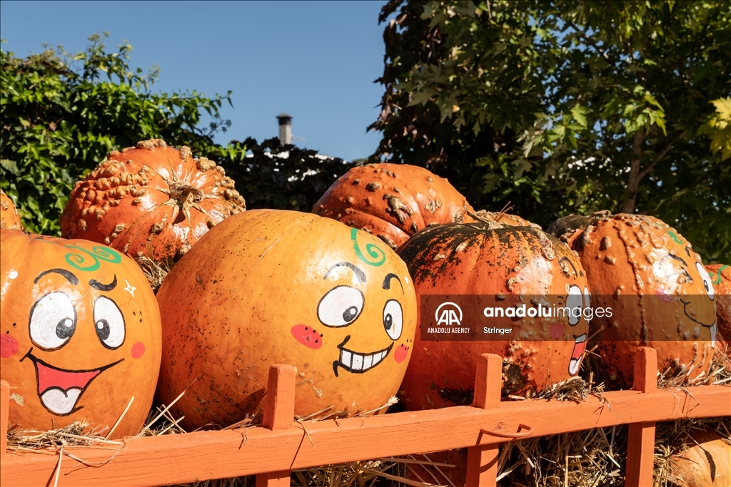 Pumpkin Garden in Italy