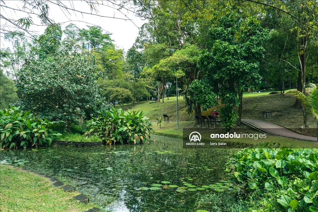 Kuala Lumpur'un kalbindeki yaşam parkı: Perdana Botanik Bahçeleri