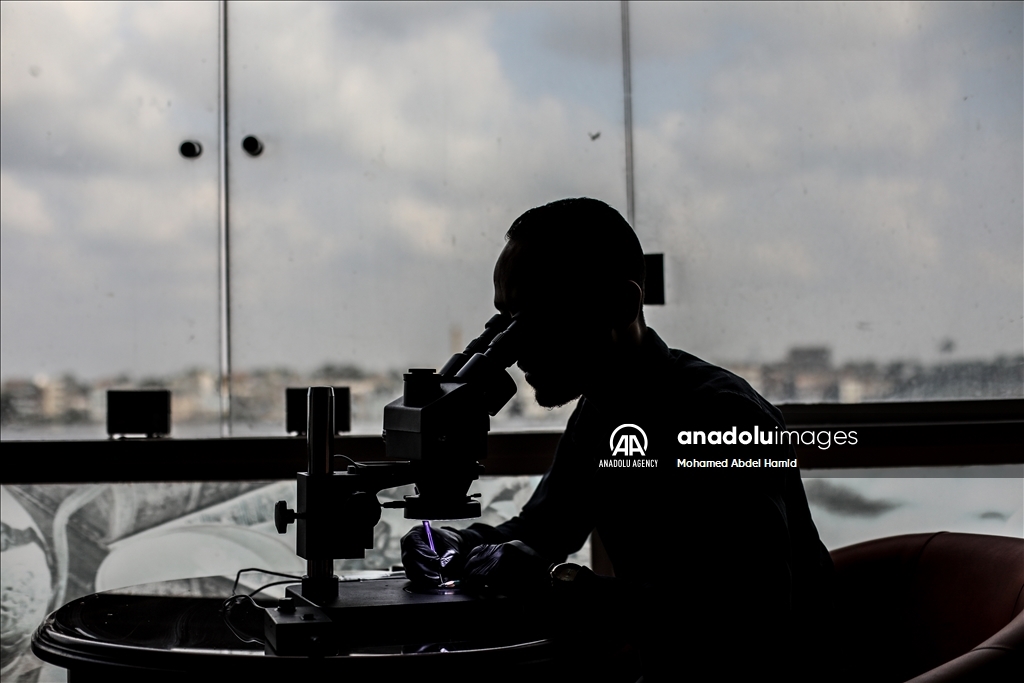 Egyptian artist turns pencil tips into art