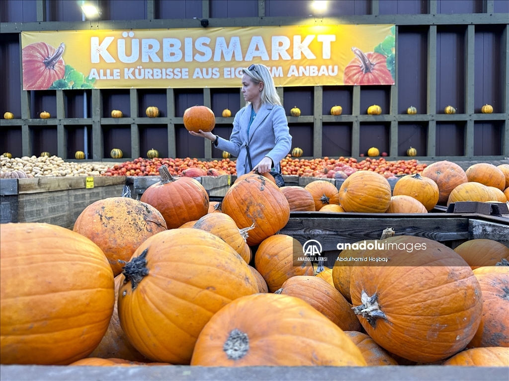 Almanya’da “Kabak, Sahil, Morina” temalı bal kabağı festivali ziyaretçilerini ağırlıyor