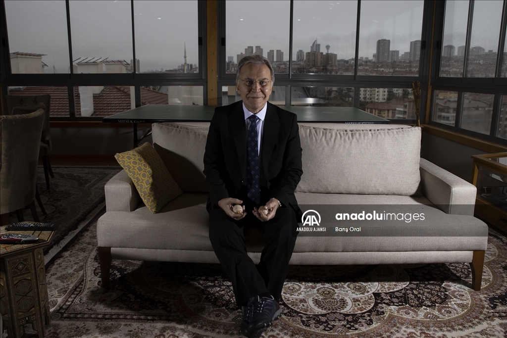 Mehmet Ali Şahin